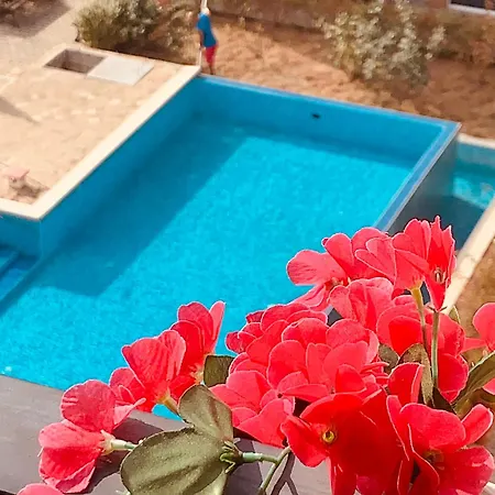 Apartment студия мир авангарда